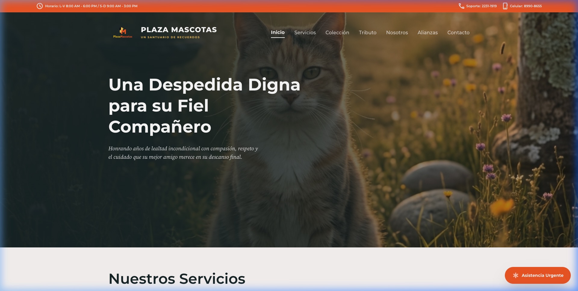PlazaMascotas.com